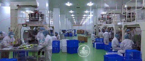 24小时无死角消毒，大同国际陆港严把进出口食品安全关