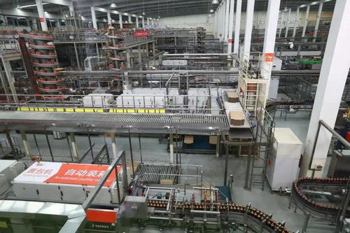 独家优品价高何解？内地游客眼中的香港食品出口新观察